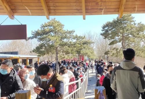 新春登高贺兰山 健康定义中国年