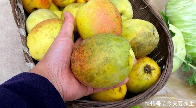 冬天，遇到这水果别手软，多买几个，能生吃能做菜，入口清爽开胃！