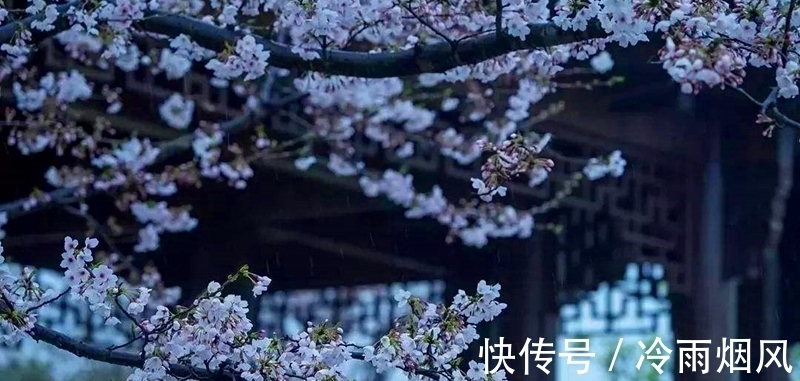 飞雪!落尽琼花天不惜,封它梅蕊玉无香—赏诗中的飞雪窥诗人心境的悲凉