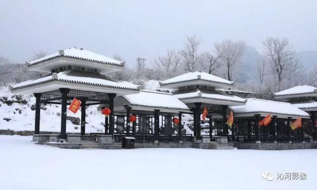 雪后王莽岭，美得不要不要的！