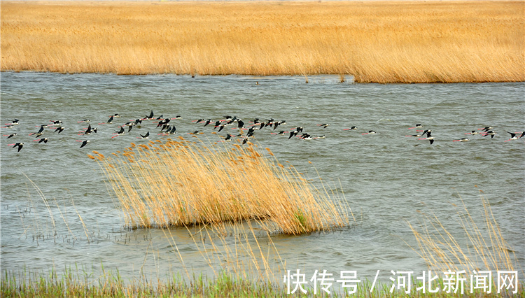 沙滩|我们从海洋中获得各种资源，也借助海洋拓展我们的生存空间。