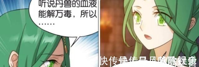 丹兽!斗破苍穹青鳞不想生宝宝,知晓原因的萧炎按捺不住怒火