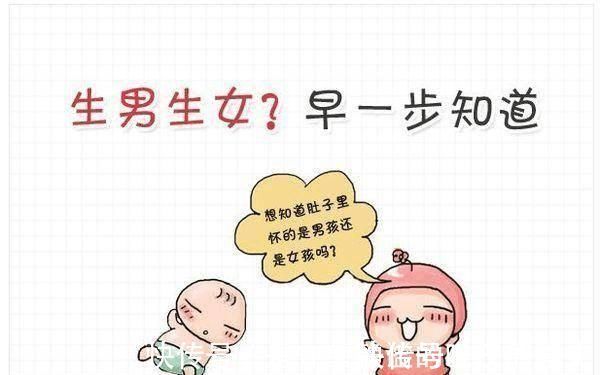 胎心监护|孕期说有这几个信号,腹中的胎儿,十有八九是个小千金