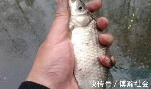 老钓友教你冬季使用朝天钩钓鲫鱼的诀窍