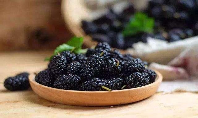 白头|一味药,染黑人间少白头!这张小方子,融入两千年智慧,值得学