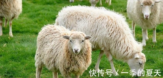 慈禧太后|俗语”腊月羊，守空房“，啥意思属羊不好吗！