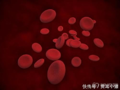 金鸡独立|血栓最怕你做3个动作,坚持做下去,你的血管干干净净