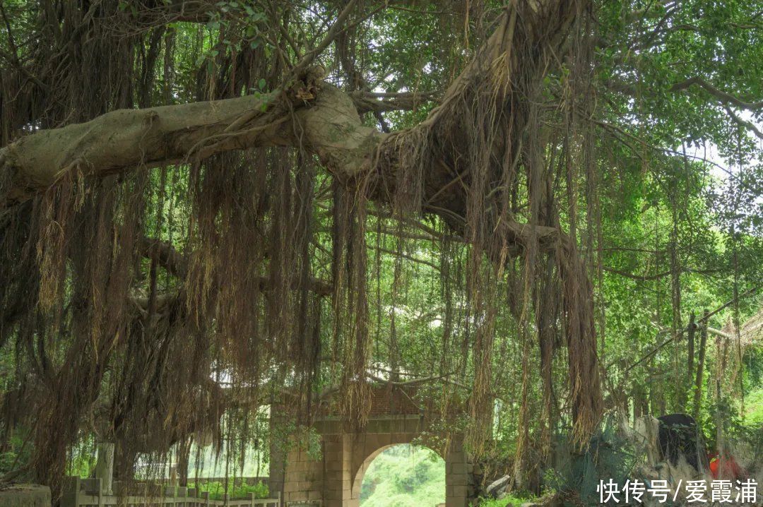 古城|霞浦吕峡，除了秀丽的海岸风光还有600余年的古城历史