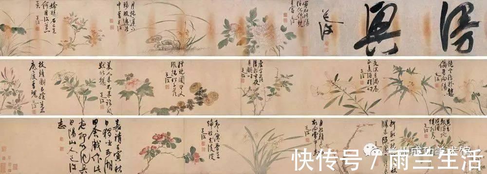 陈淳@与徐渭齐名,这个富二代的一花一世界!