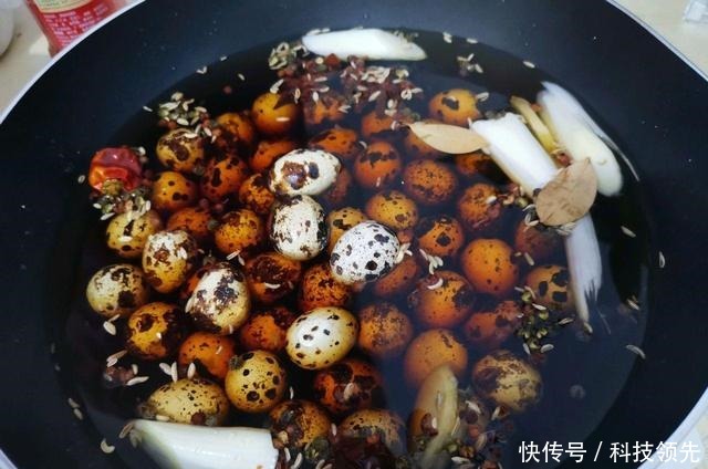 它是“动物中的人参”，早晚吃几颗，健脑益智护视力，孩子可多吃