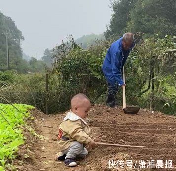 黑山羊|长沙老人养羊为妻治病却遇车祸去世，儿子想卖羊为母筹款