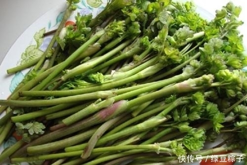  提醒|提醒：见到像猫爪子的野菜，一定要拔回家，好处多，作用还大