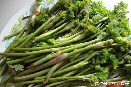 提醒|提醒:见到像猫爪子的野菜,一定要拔回家,好处多,作用还大