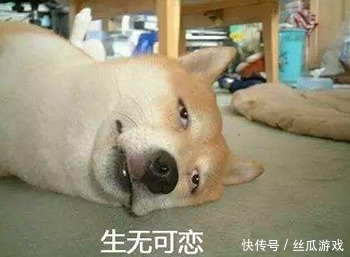 队友|王者荣耀：开局你最不希望看到队友秒选哪些英雄？