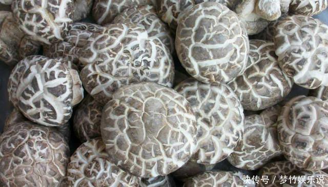 入半汤匙|花菇5种最好吃的做法,简单美味又下饭,看看你喜欢吃哪种