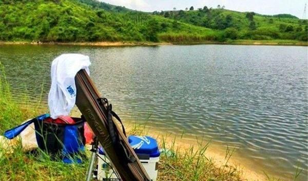 夏天钓鱼,需要掌握的5条规律,抓规律是连竿上鱼的关键