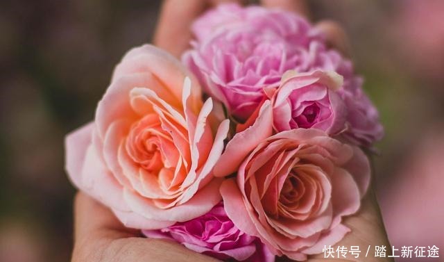  别太|有一种智慧，叫低调做人，高调做事