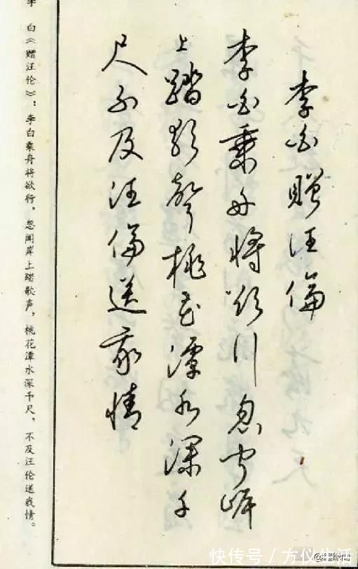 江南草木记.昙花!钢笔草书古诗词——经典老字帖,收藏慢慢练