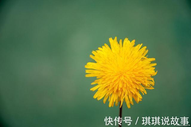 相思@《知秋》——一叶落秋,相思亦愁