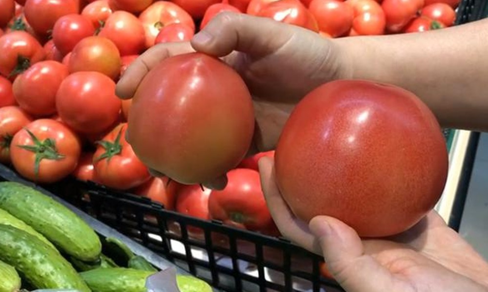 才知道,这种西红柿不能吃,看完以后别再买了,都看一看吧