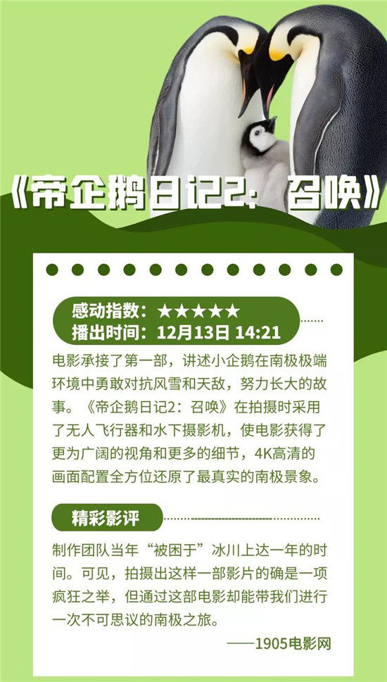 CCTV6精彩节目 |《小Q》《帝企鹅日记》轮番上演