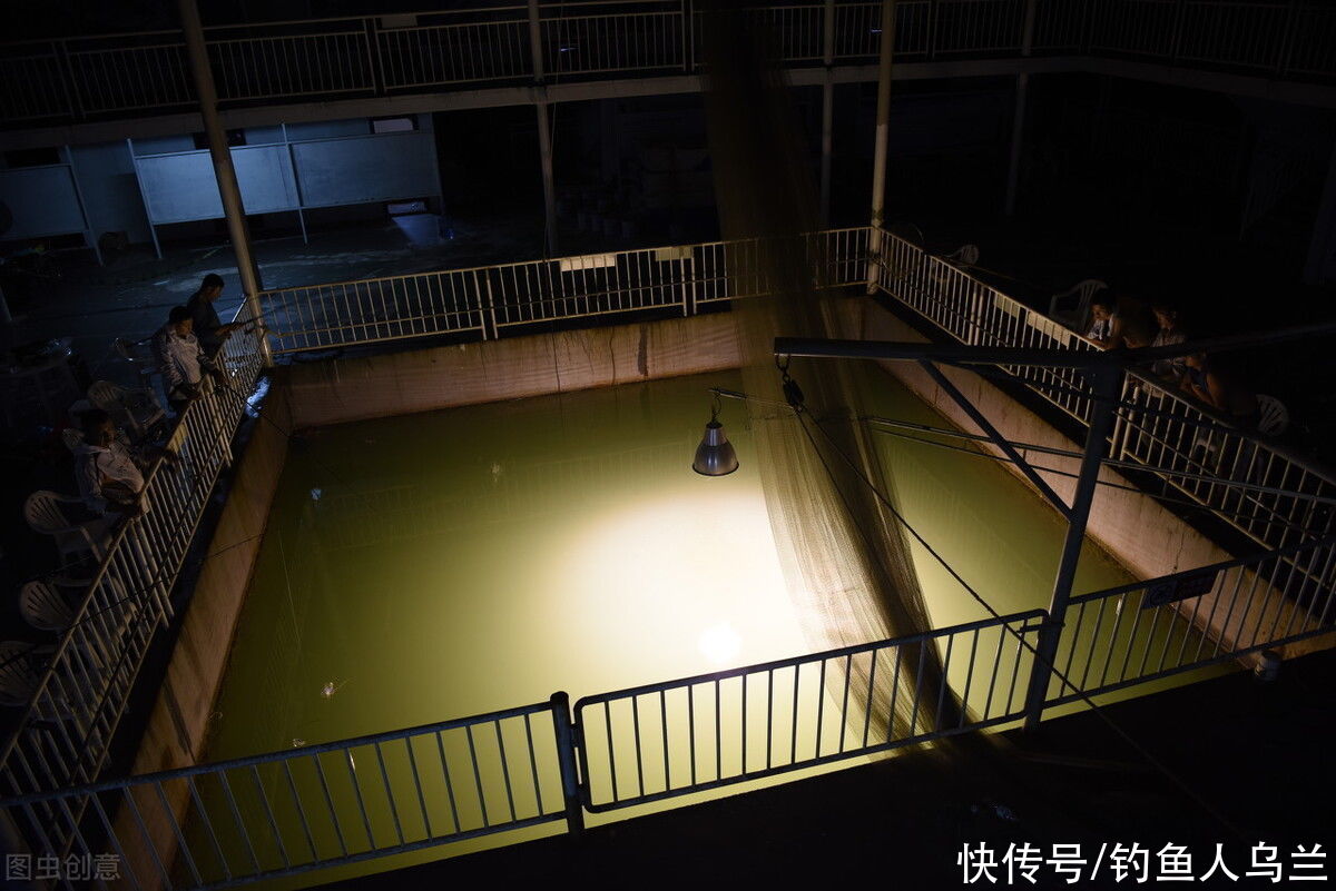 惊鱼|夜钓选夜光灯还是电子漂？误区不少，看懂这些就明白了