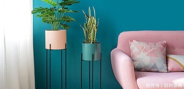 花架|如何打造漂亮阳台新颖“花架”,打造您的私人花园!