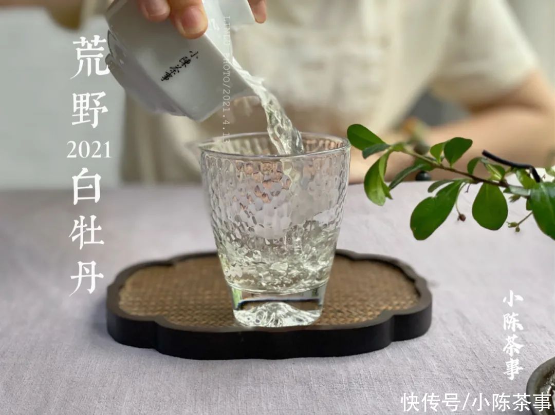 铁观音|煮茶、盲目追“老白茶”、紫砂壶冲泡，说说白茶新手的入门三板斧