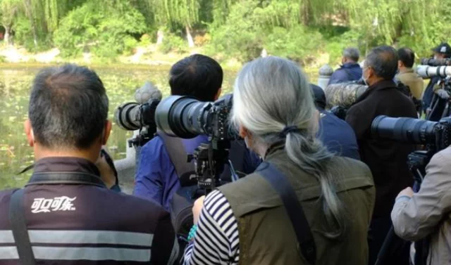 单反冷场?手机摄影有何魅力让老法师扔下长枪短炮插图 单反冷场?手机摄影有何魅力让老法师扔下长枪短炮插图