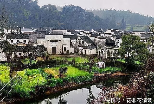 行业|农村哪些行业能致富？马云说“致富未来在农村”，3种工作可参考