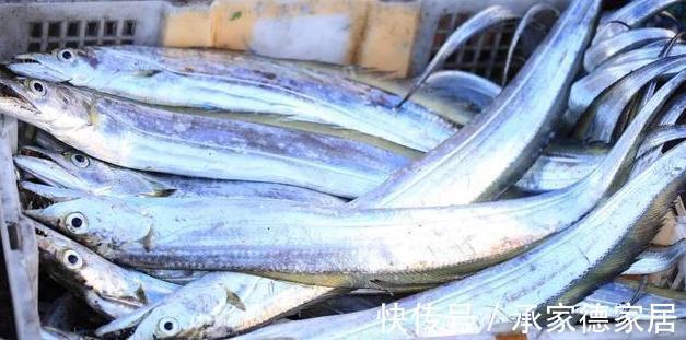 带鱼|立秋之后，记得多给孩子吃这4种鱼，钙含量高，孩子越吃越聪明！