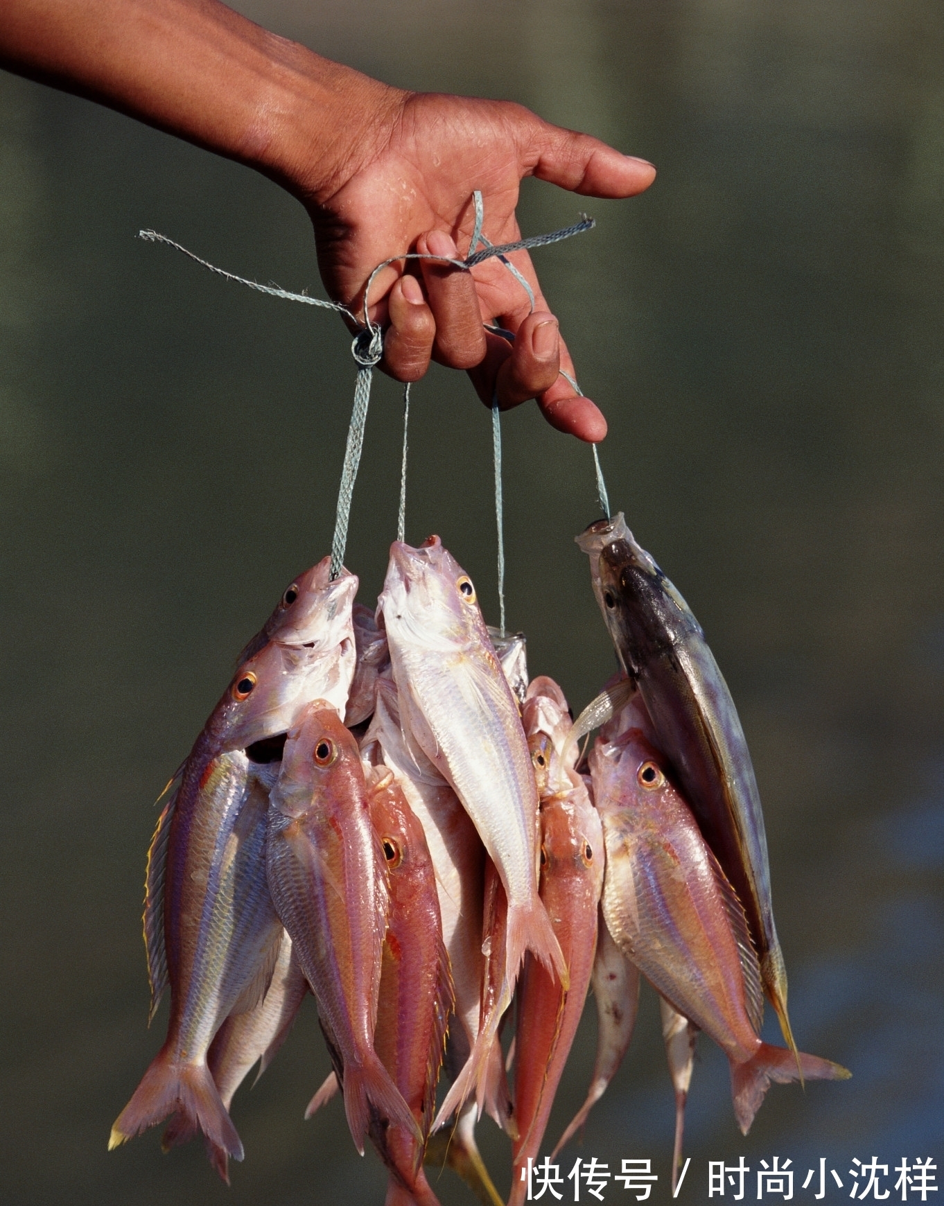 男子钓鱼上瘾,连续垂钓一天一夜后被人“暴打”,网友:不敢拉架