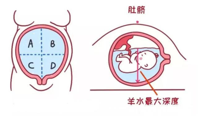 胎宝|怀孕期间，胎儿的屎尿排哪了知道答案后，孕妈哭笑不得