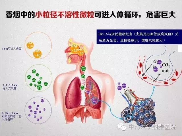 恶魔|控烟｜远离【烟】这个作恶多端的不老恶魔