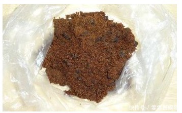 什么淘米水、啤酒水都不如“它”,君子兰蹭蹭长,花友赚大发了