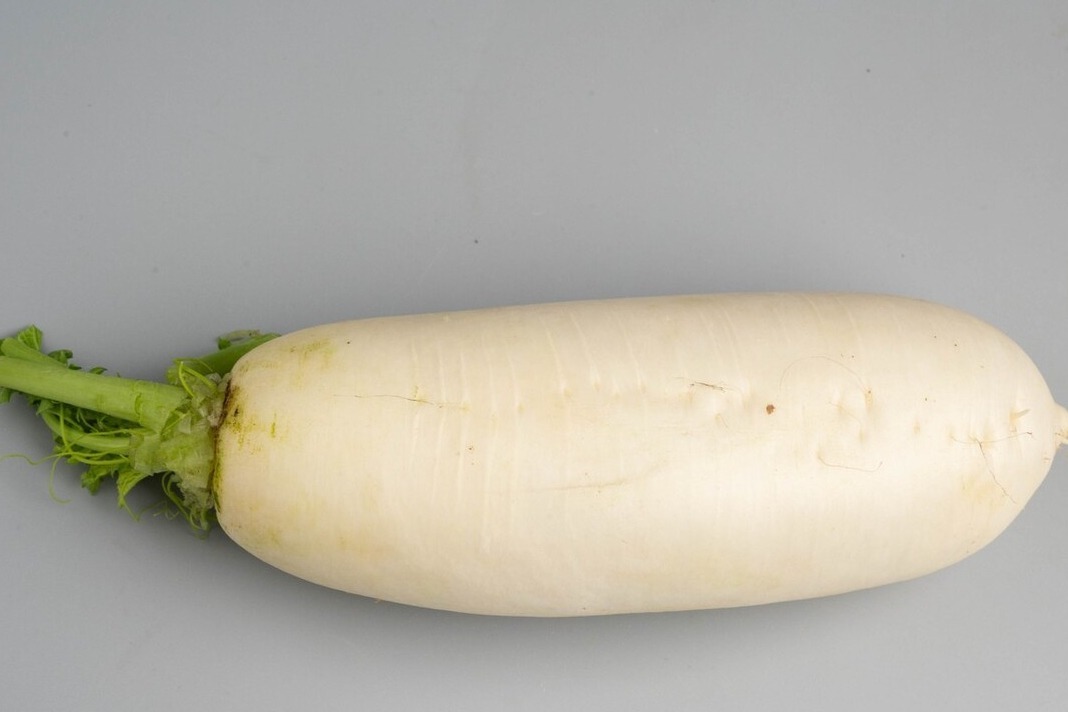 枸杞|立秋后,记得多吃此菜,人称“小人参”,味道鲜营养高,老少皆宜