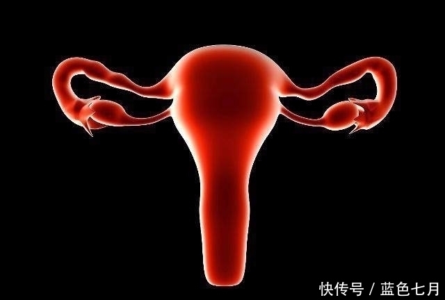 泌尿系统|女人若没有“子宫”会怎么样答案可能和你想的不一样值得一看