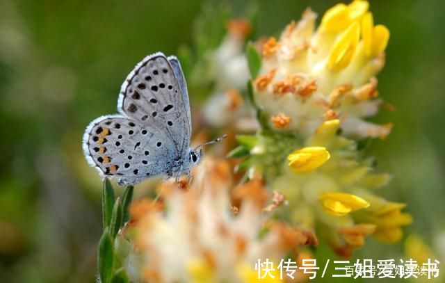 看淡|做人，最难得的是看清、看淡、看开