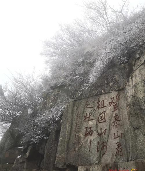 泰山之巅再迎春雪 巍巍高山飞玉尘