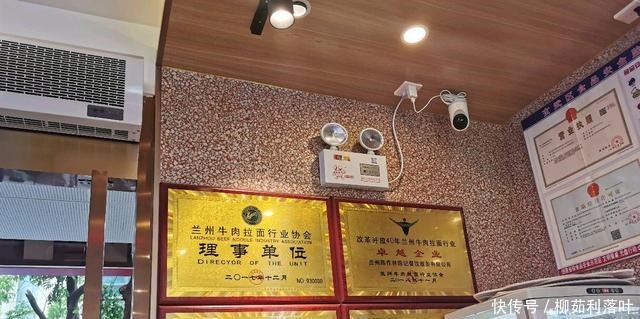 普洱茶叶蛋|在南京,体验一碗地道的兰州牛肉面面!