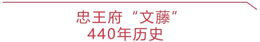 美上热搜！苏州这些百年古树你知道多少？