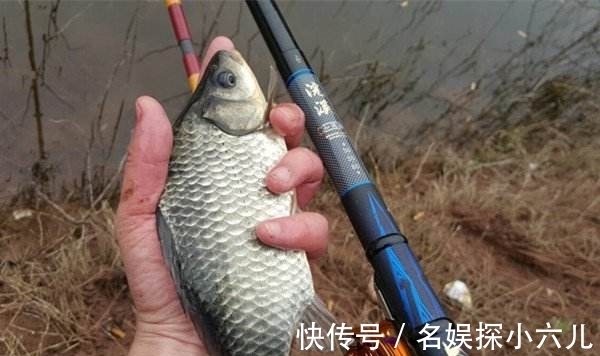 渔获|仲秋钓鲫鱼,会用这两种钓法,中钩的鱼,不仅个头大,数量还不少
