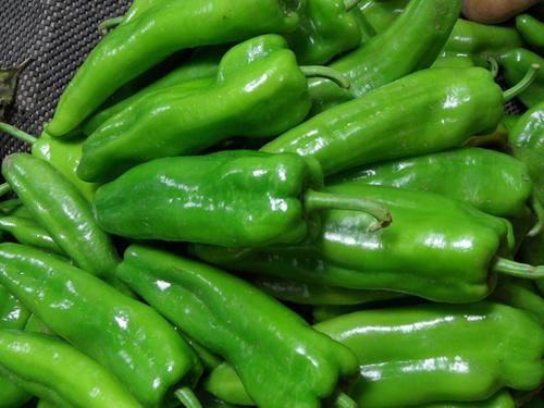 青椒配上它，腰不痛了，脂肪沒了，淡化斑紋，愛美的女性不妨一試