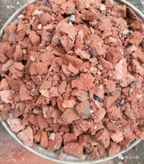 家中养花，盆底垫几种小东西，盆土疏松透气，防止烂根