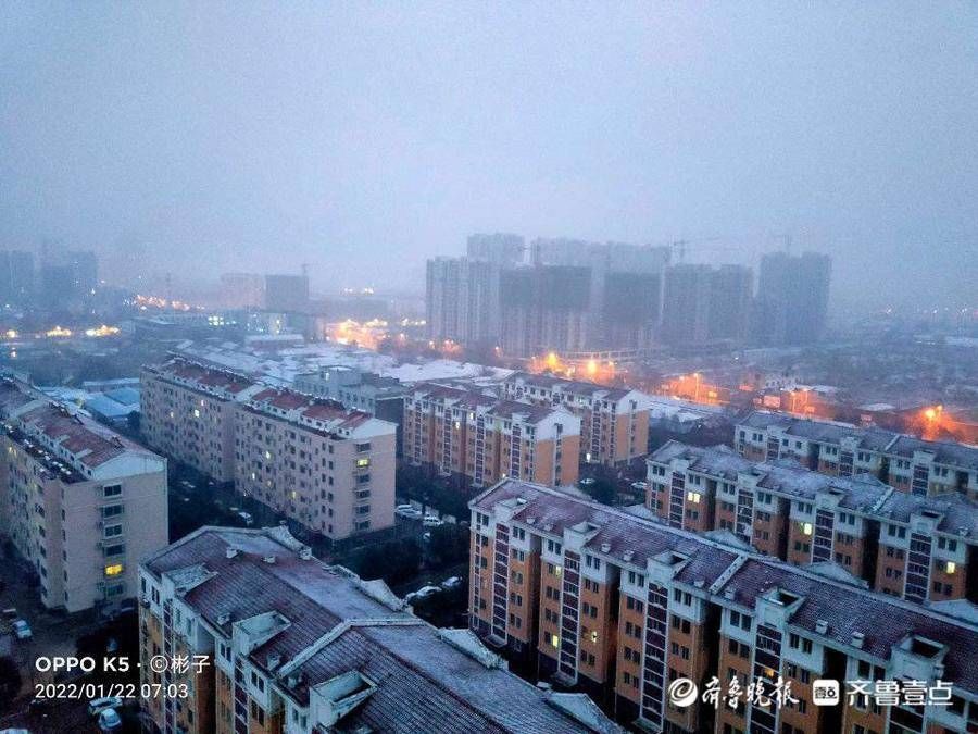 情报员|山东多地雪花到货，情报员用镜头记录清晨雪景，注意添衣保暖哦