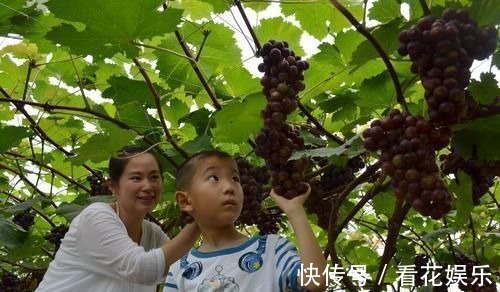 宵夜|孩子睡前可以常吃这些食物，不仅睡得安稳，还利于身高、大脑发育