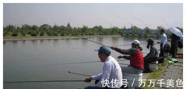 能掌握这6个基本规律,就走出了新手圈,渔获翻倍都有可能