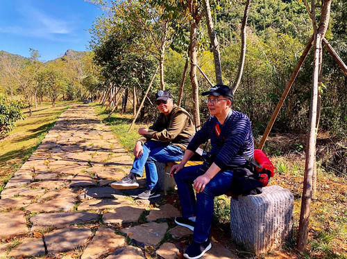 普者黑天鹅湖，近距离地接触天鹅，却发现这里的天鹅竟然不会飞