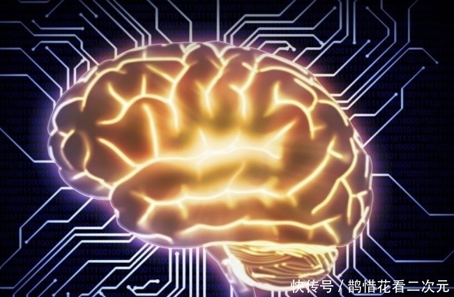  直觉|相信什么样的直觉, 才不会出现失误