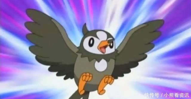 地区的家门|神奇宝贝种族值最低的十种飞行系宝可梦,小智大部分都有